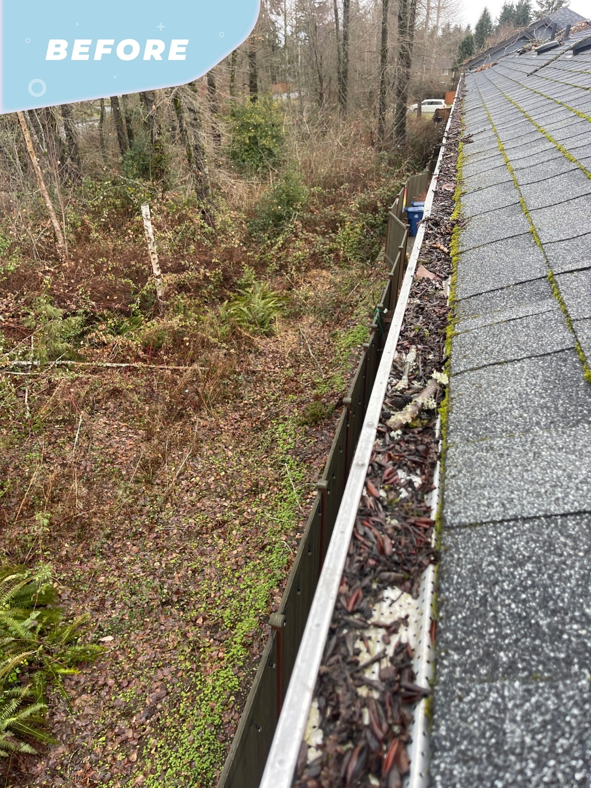 Comprehensive Gutter & Roof Cleaning Services | Protect Your Home from Debris & Damage