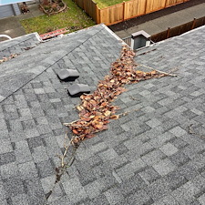 Comprehensive-Gutter-Roof-Cleaning-Services-Protect-Your-Home-from-Debris-Damage 9