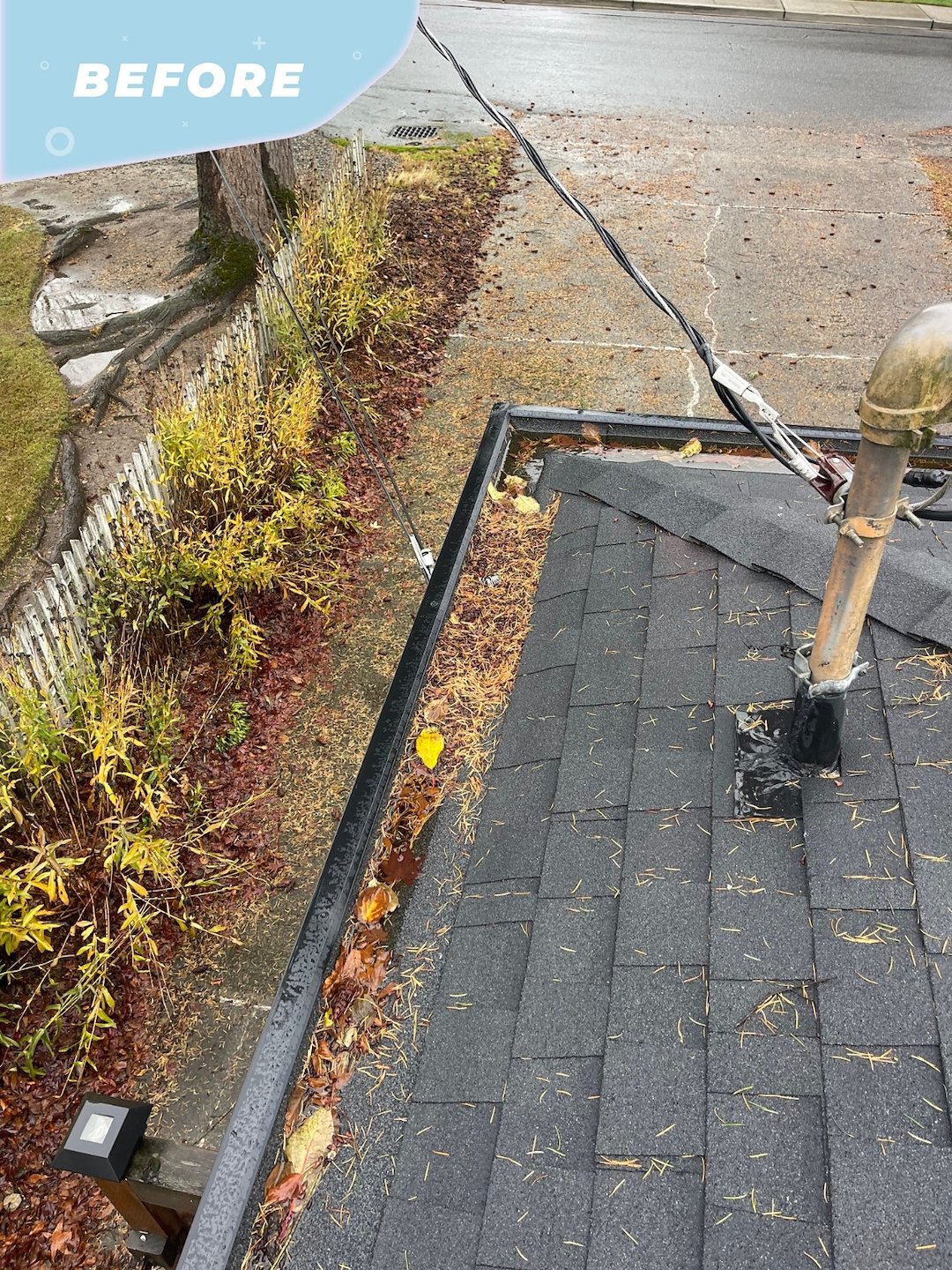 Excellent Gutter Cleaning Service