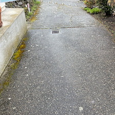 Expert-Driveway-Pressure-Washing-Services-Restore-Your-Driveways-Clean-Look 3