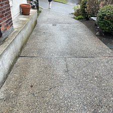 Expert-Driveway-Pressure-Washing-Services-Restore-Your-Driveways-Clean-Look 2