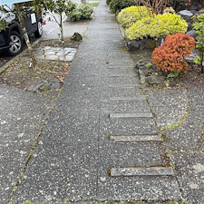 Expert-Driveway-Pressure-Washing-Services-Restore-Your-Driveways-Clean-Look 1