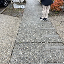 Expert-Driveway-Pressure-Washing-Services-Restore-Your-Driveways-Clean-Look 0