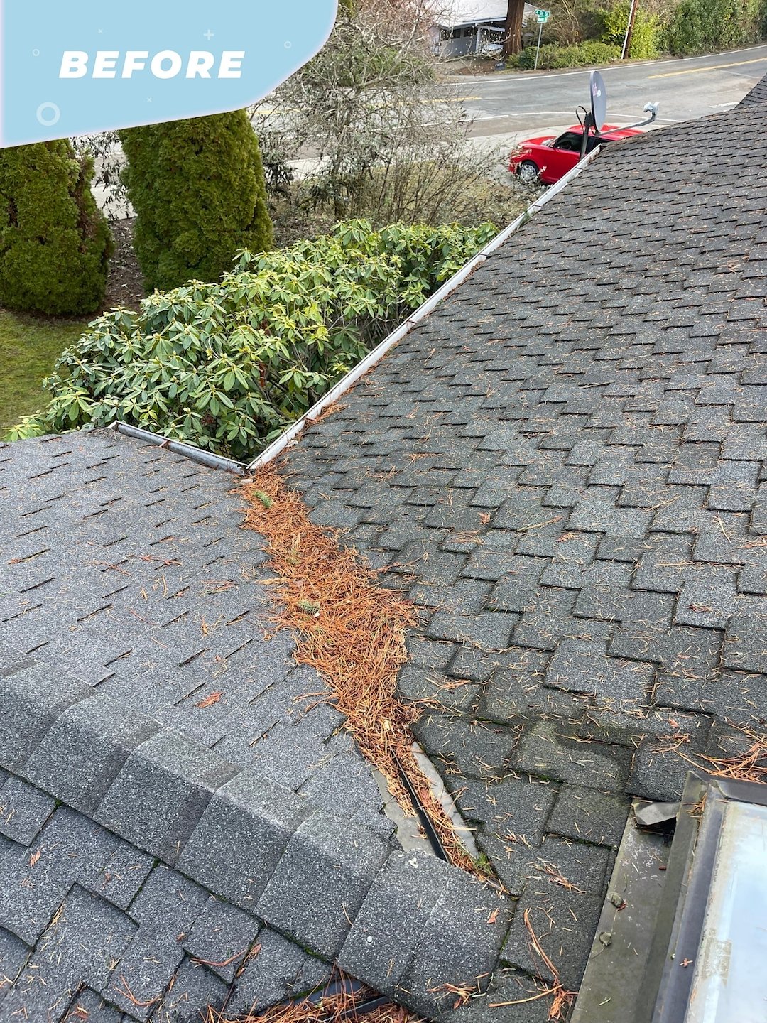 Professional Gutter Cleaning & Roof Blow-Off Services | Keep Your Home Safe and Debris-Free