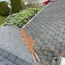 Professional-Gutter-Cleaning-Roof-Blow-Off-Services-Keep-Your-Home-Safe-and-Debris-Free 9