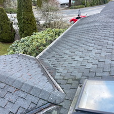 Professional-Gutter-Cleaning-Roof-Blow-Off-Services-Keep-Your-Home-Safe-and-Debris-Free 8