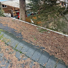 Professional-Gutter-Cleaning-Roof-Blow-Off-Services-Keep-Your-Home-Safe-and-Debris-Free 3