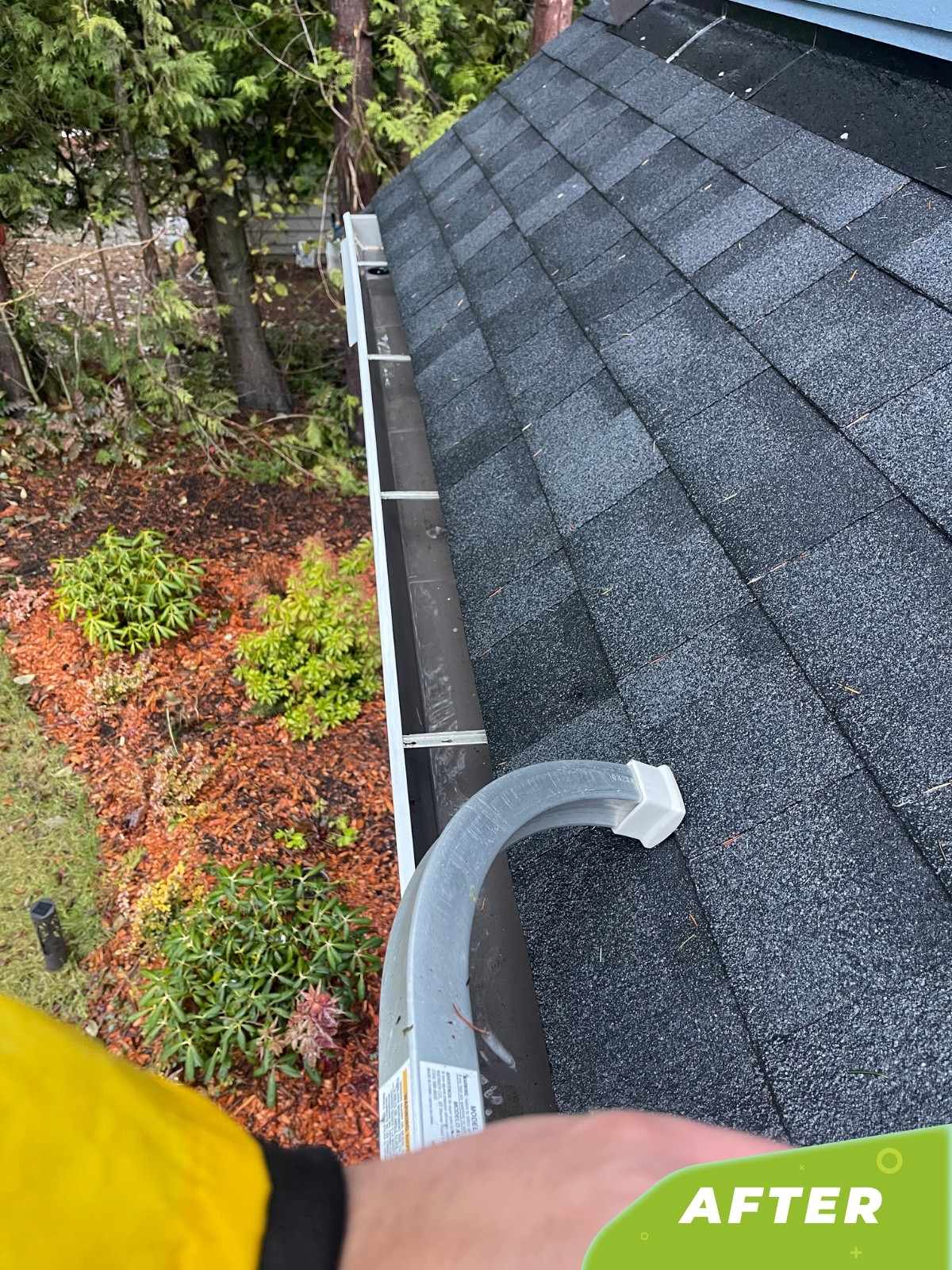 Top Rated Gutter Cleaning Services