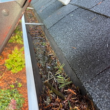 Top-Rated-Gutter-Cleaning-Services 3